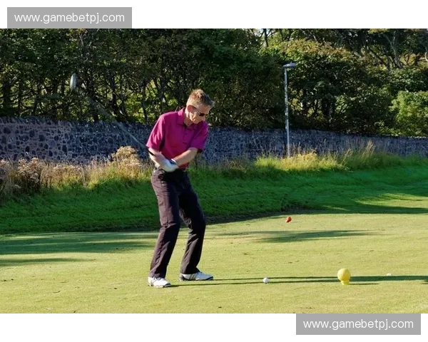 挥杆之间：高尔夫的优雅生活与内在修炼